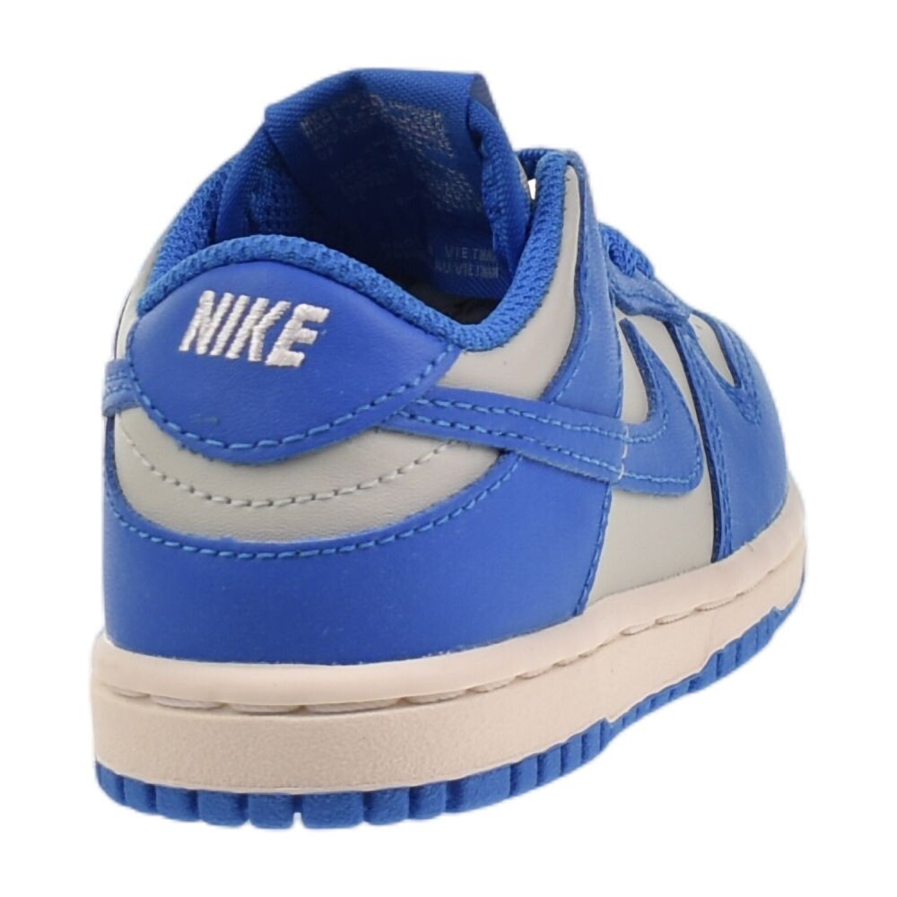 Nike Dunk Low (TD) Toddlers' Shoes Light Silver/LT Photo Blue fb9107-004