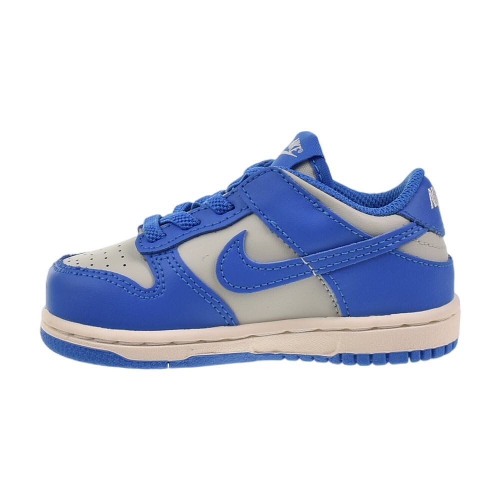 Nike Dunk Low (TD) Toddlers' Shoes Light Silver/LT Photo Blue fb9107-004