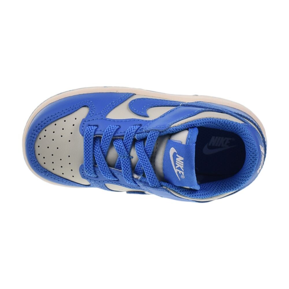 Nike Dunk Low (TD) Toddlers' Shoes Light Silver/LT Photo Blue fb9107-004