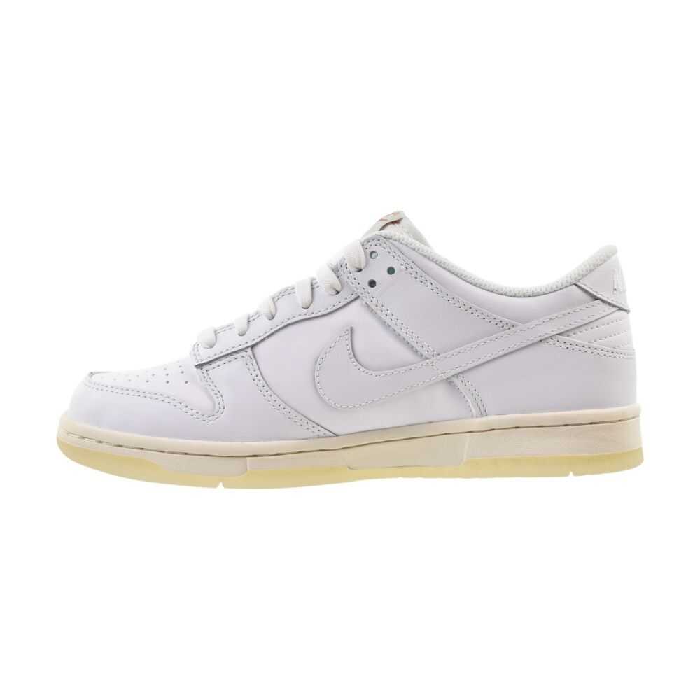 Nike Dunk Low Se (GS) Big Kids' Shoes White/Multi Color fn4861-100