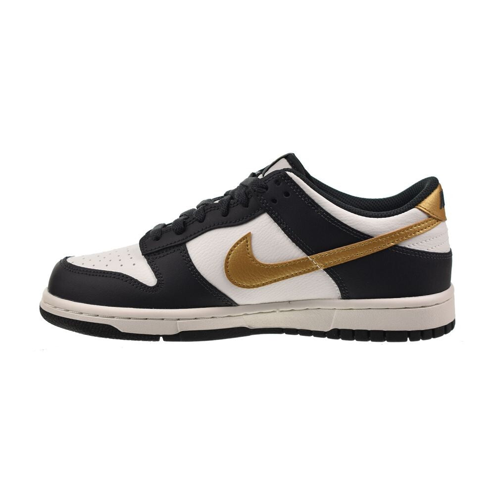 Nike Dunk Low (GS) Big Kids' Shoes Summit White/Anthracite hv2533-100