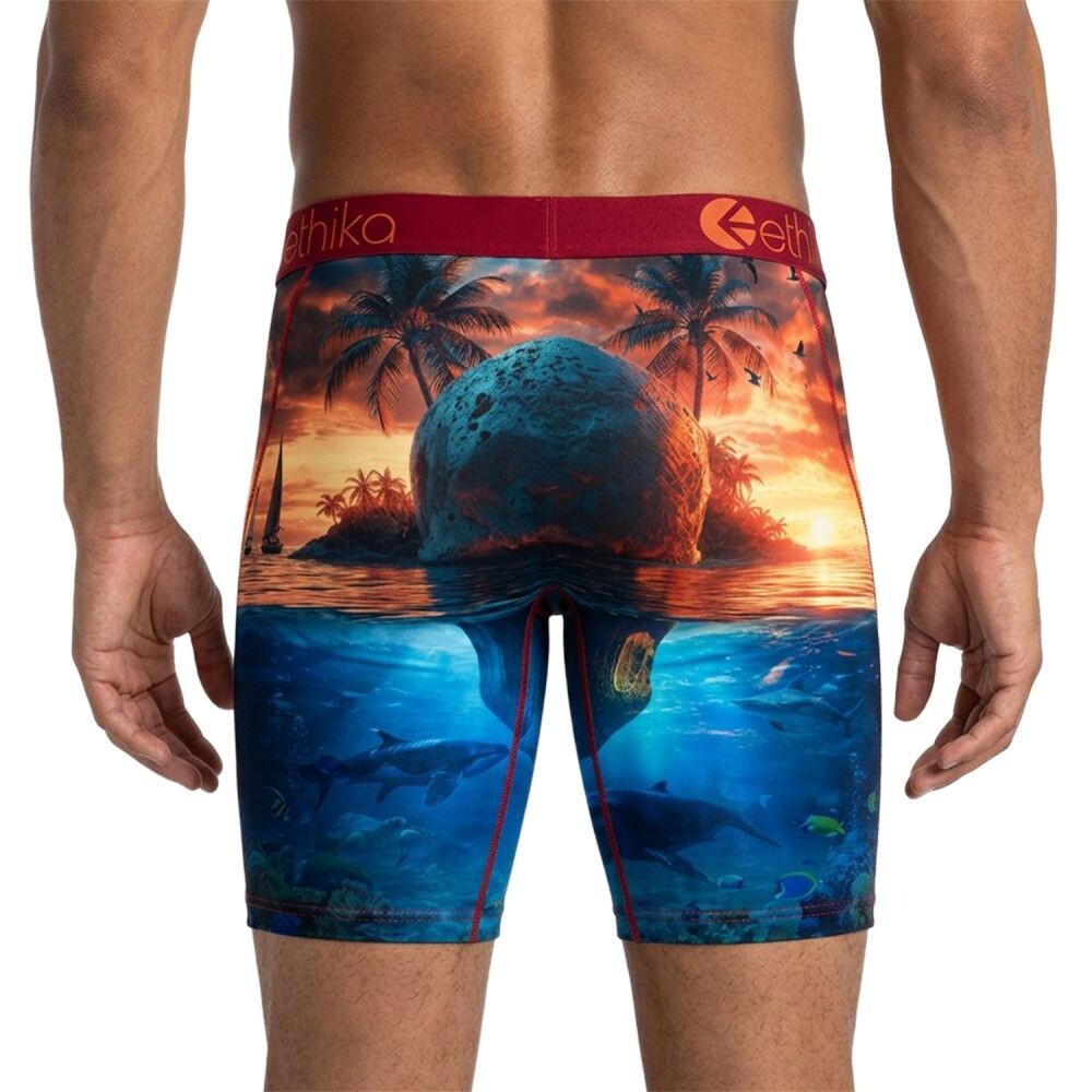Ethika Skol Island Men's Boxers Assorted mfaaaf2523-ast