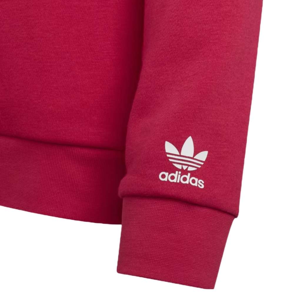 Adidas Originals Adicolor Kids\' Pink Hoodie Bold
